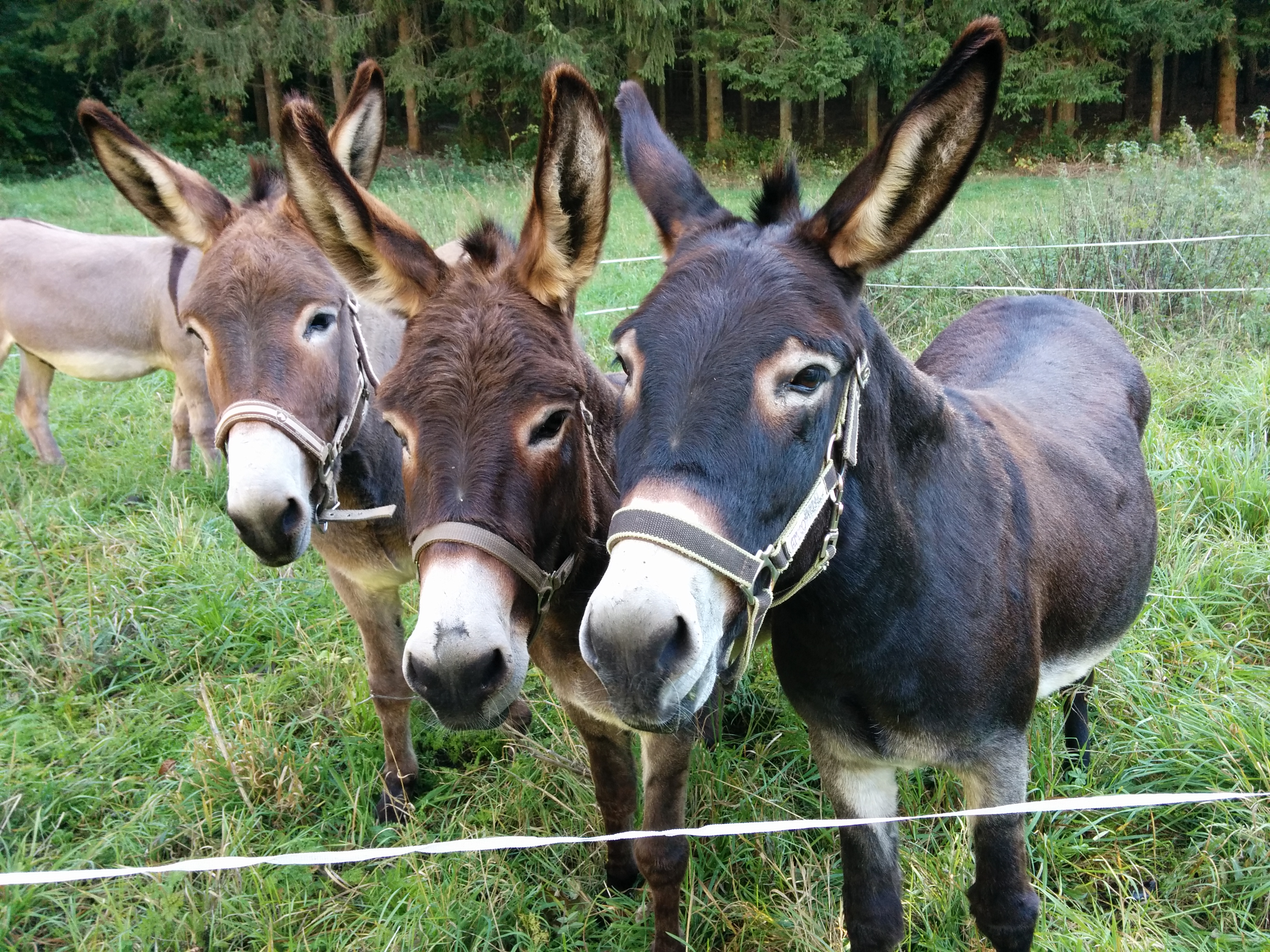 Vroni, Sina und Benjamin von Kerstin Eitner