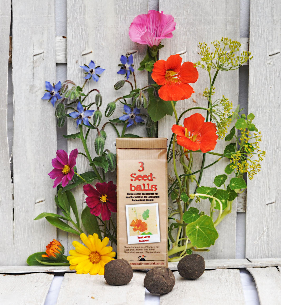 Seedballs Kost-Bare Blüten von Seedball Manufaktur