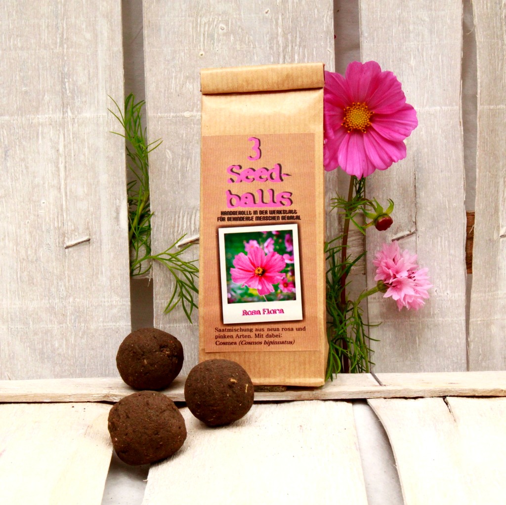 Seedballs Rosa Flora von Seedball Manufaktur