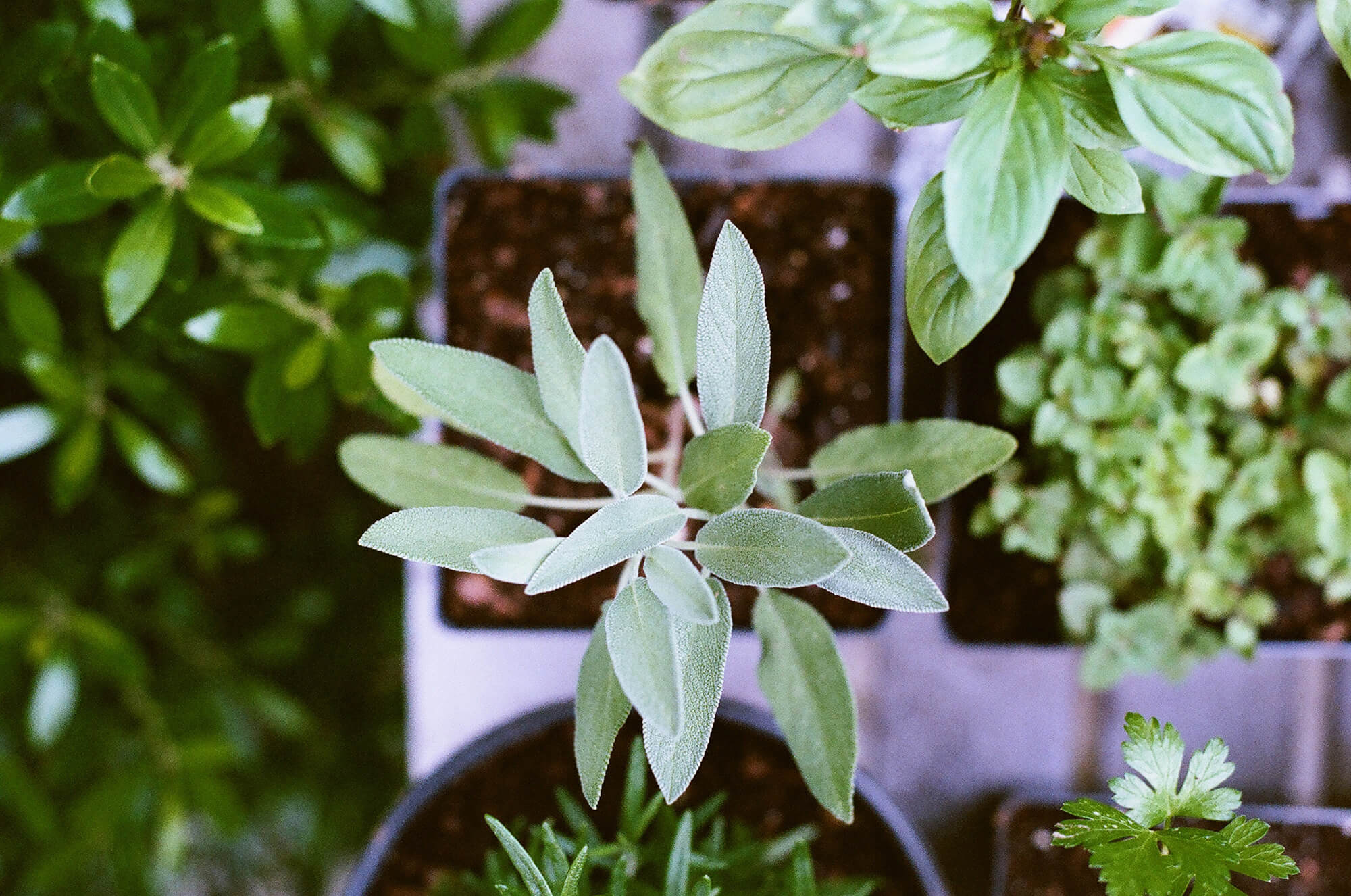 Matt Montgomery on Unsplash