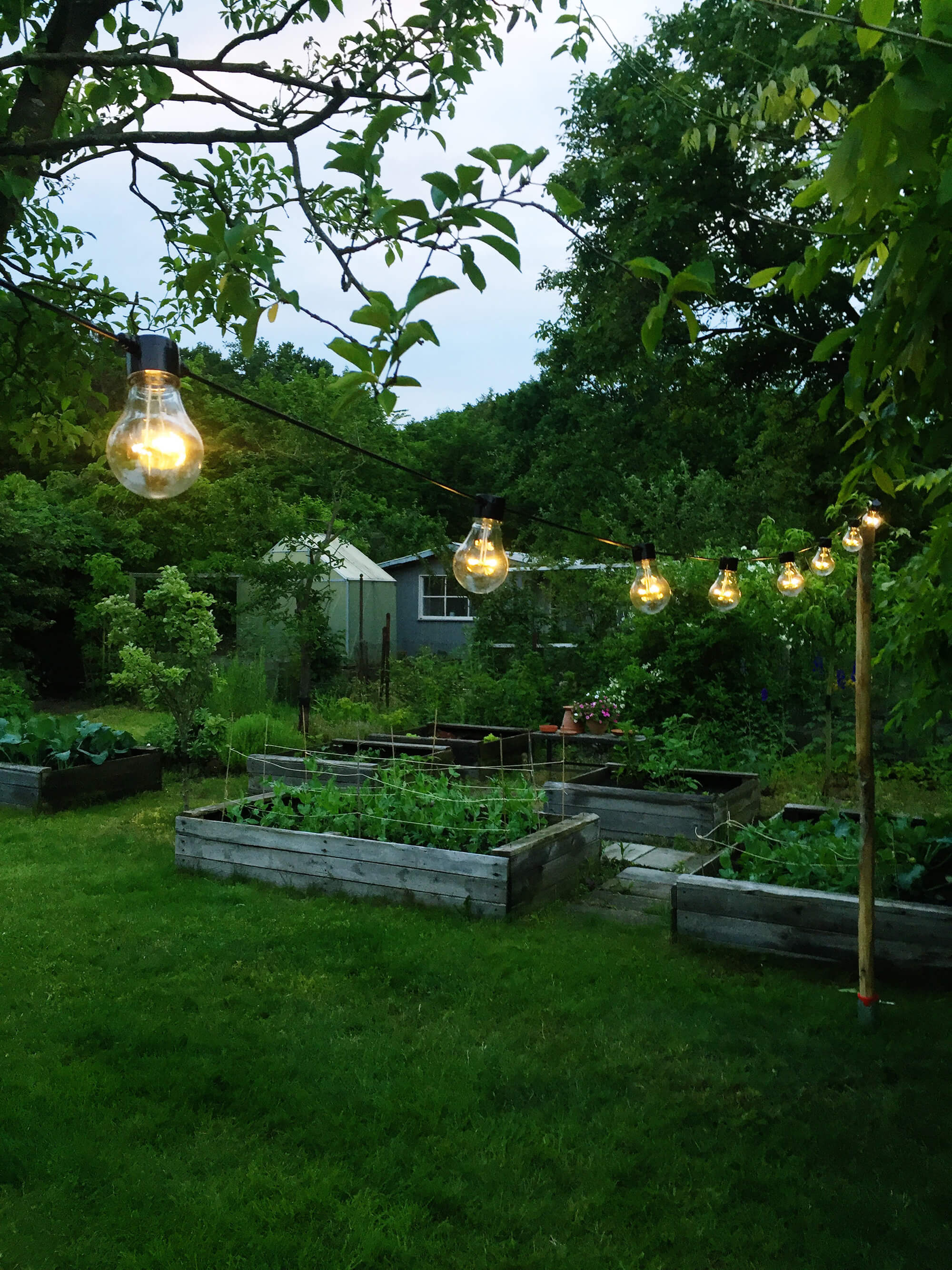 Gartenbild von Janine Sommer
