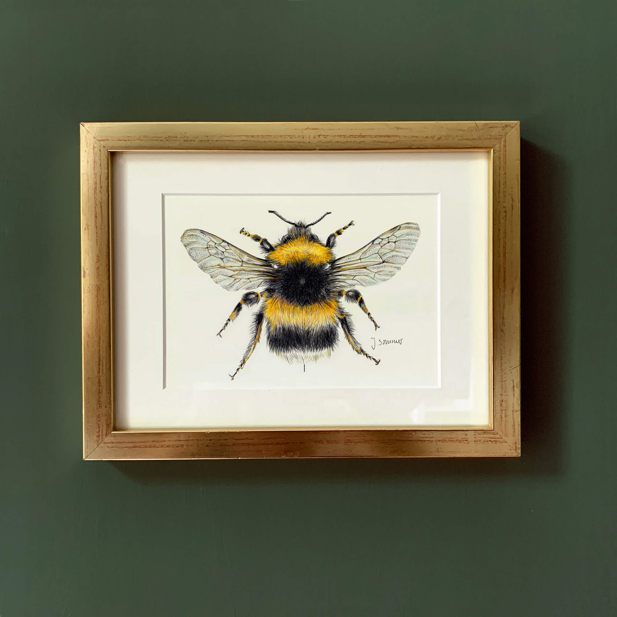 Gartenhummel Originalzeichnung von Janine Sommer