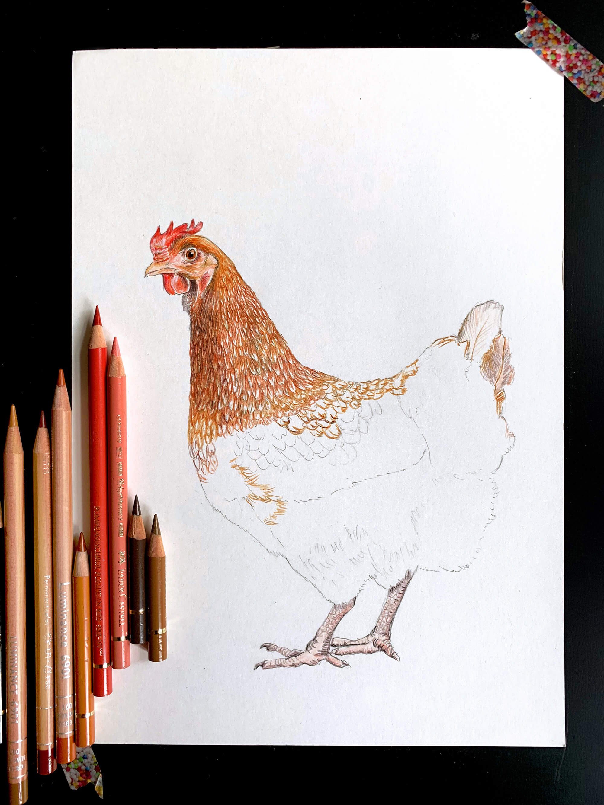 Huhn gezeichnet von Janine Sommer