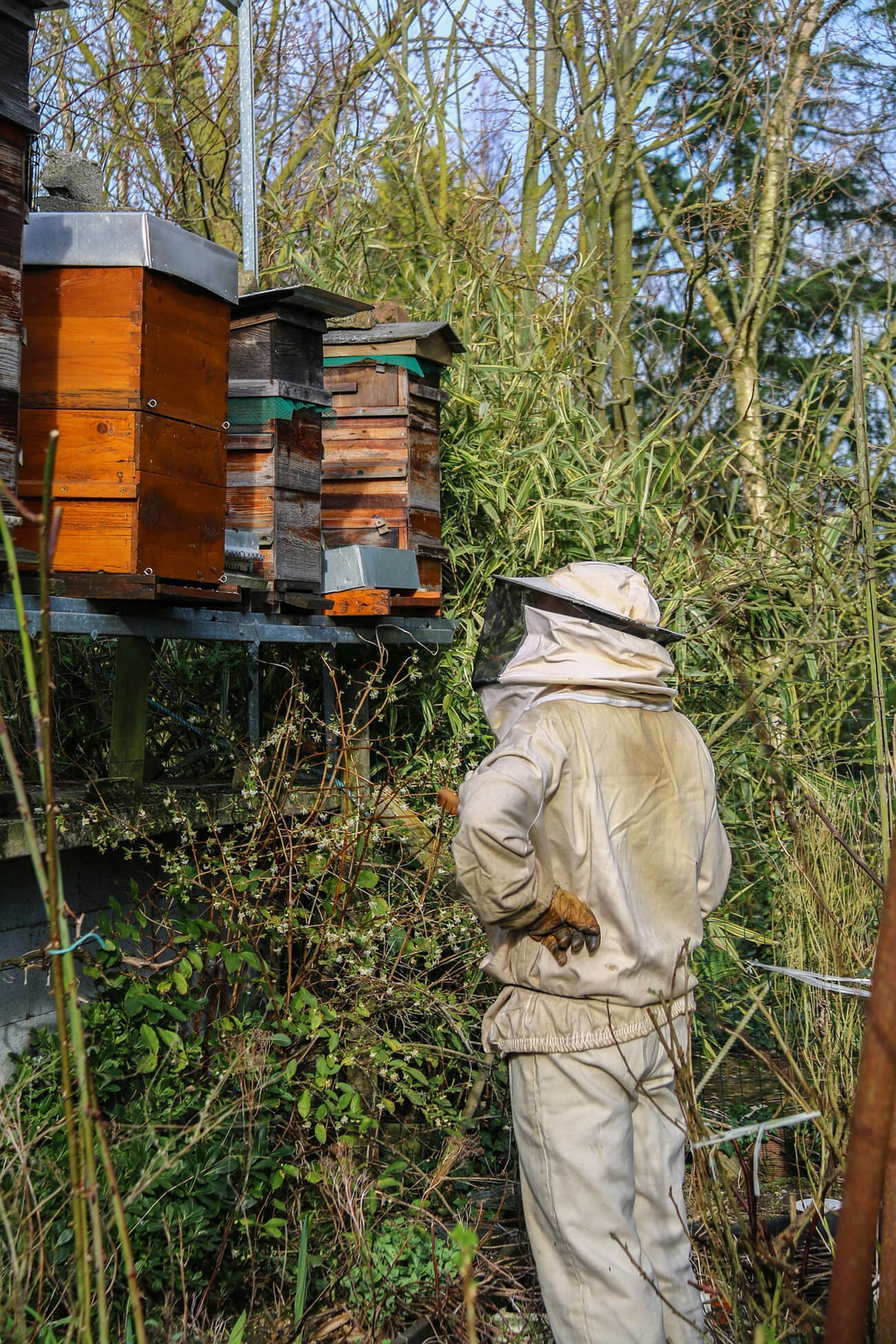 Imker bei den Bienenkästen von IMKERGLÜCK