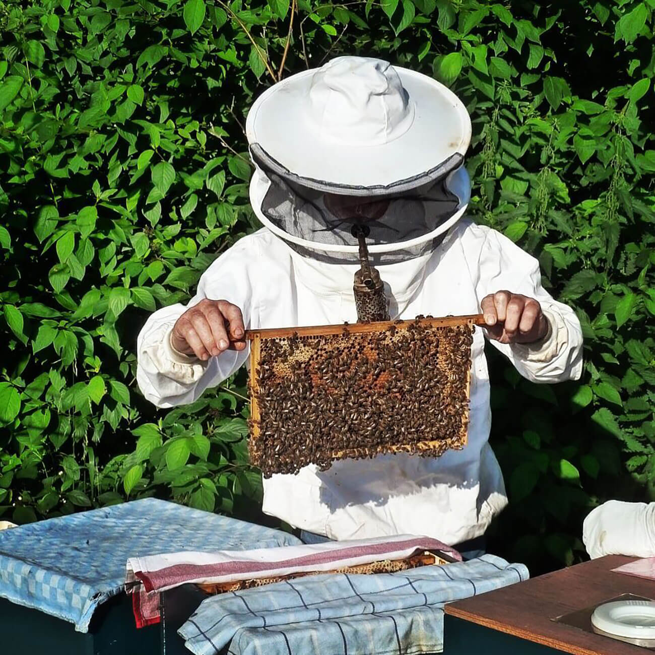 Imker und Bienenwaben von IMKERGLÜCK