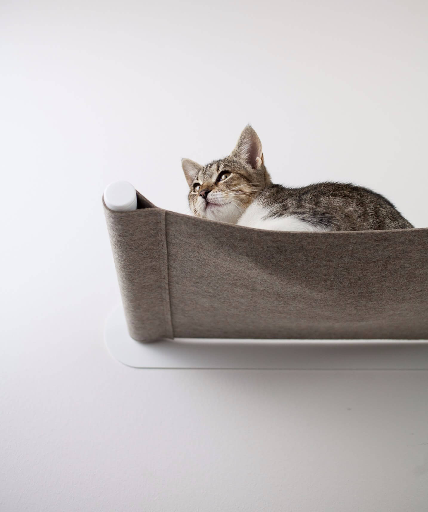 Katzen Hängematte SWING © LucyBalu