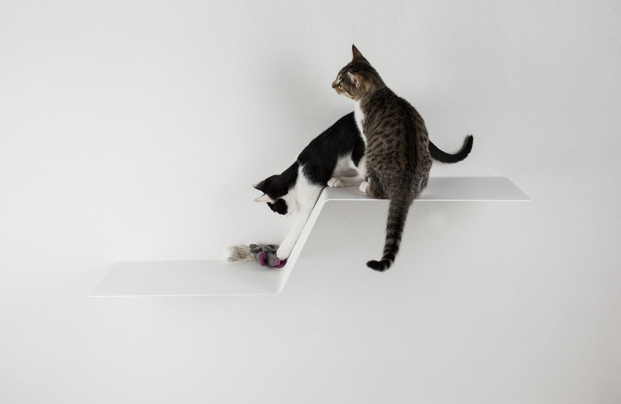 Katzen Kletterhilfe WAVE © LucyBalu