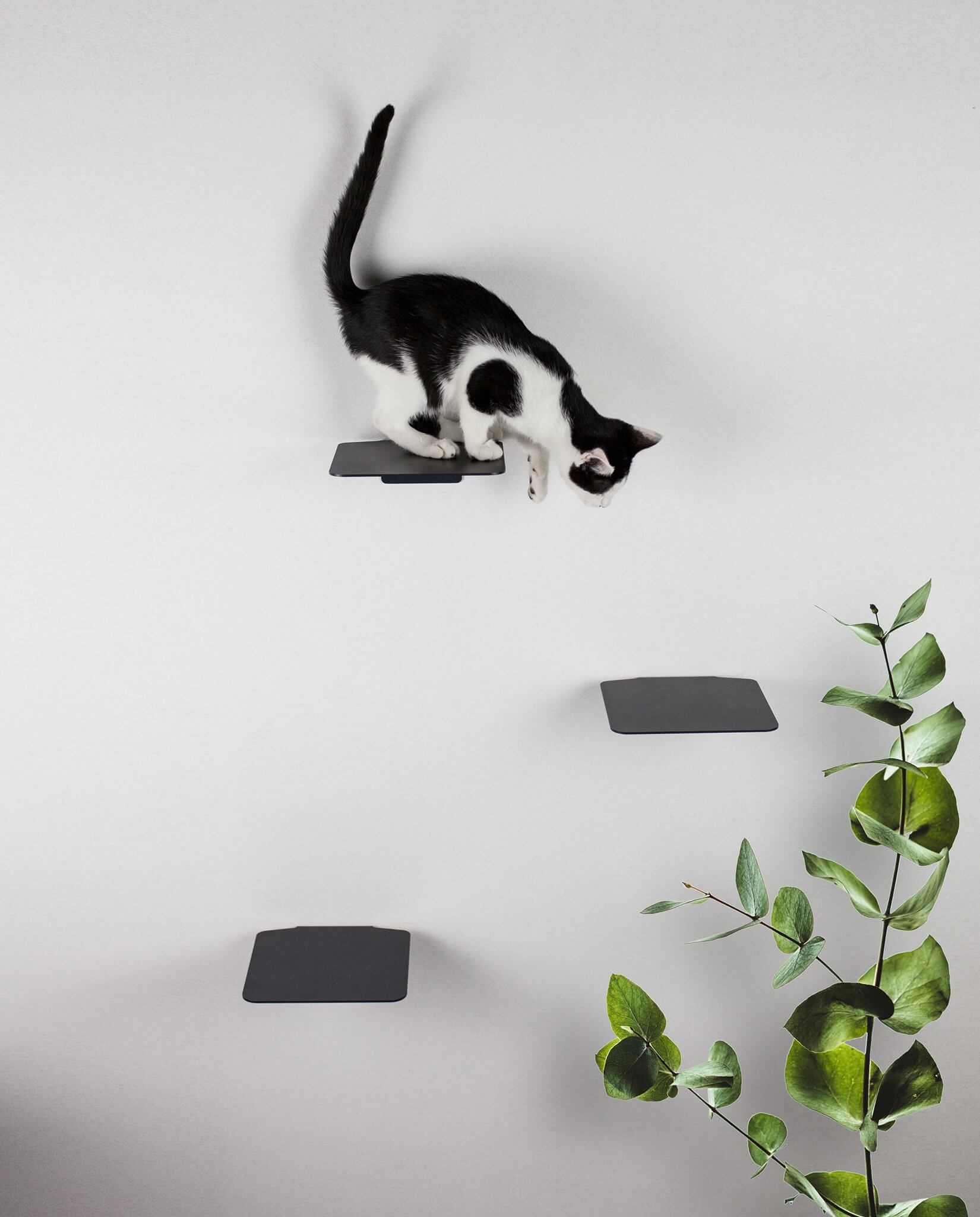 Katzen Kletterstufen STEPS © LucyBalu