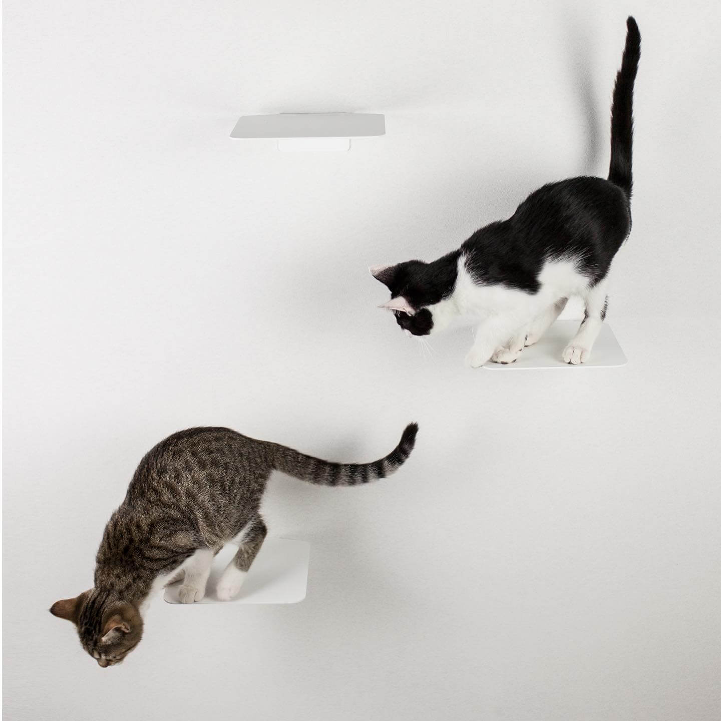Katzen Kletterstufen STEPS © LucyBalu