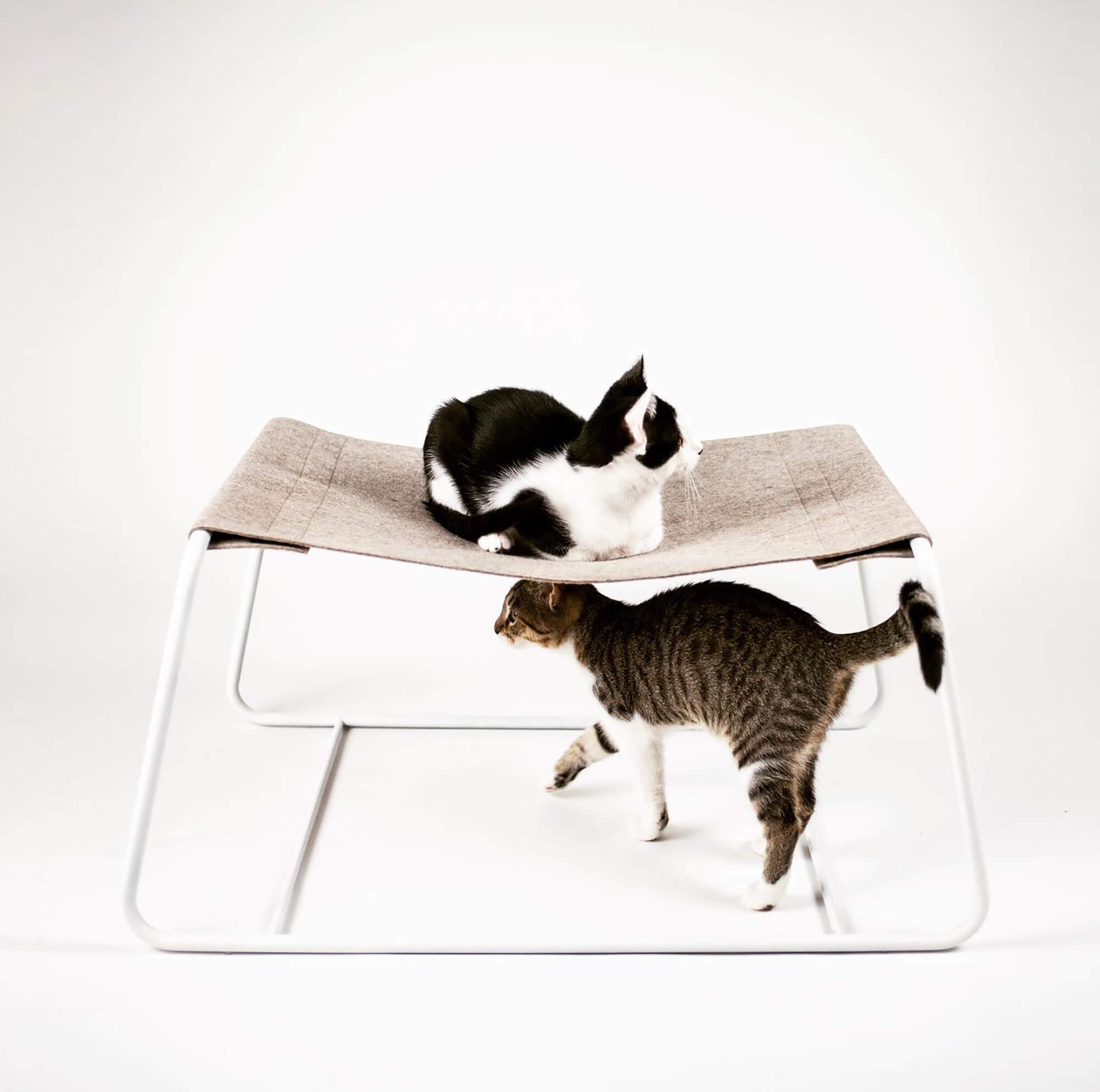 Katzen Liegebett FLOAT © LucyBalu