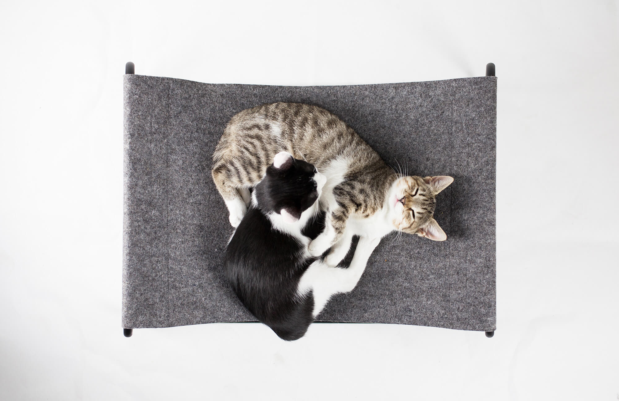 Katzen Liegebett FLOAT © LucyBalu