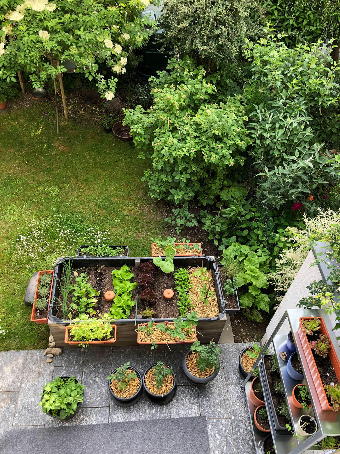 Blick in den Minigarten Teil 2 von Kerstin Eitner