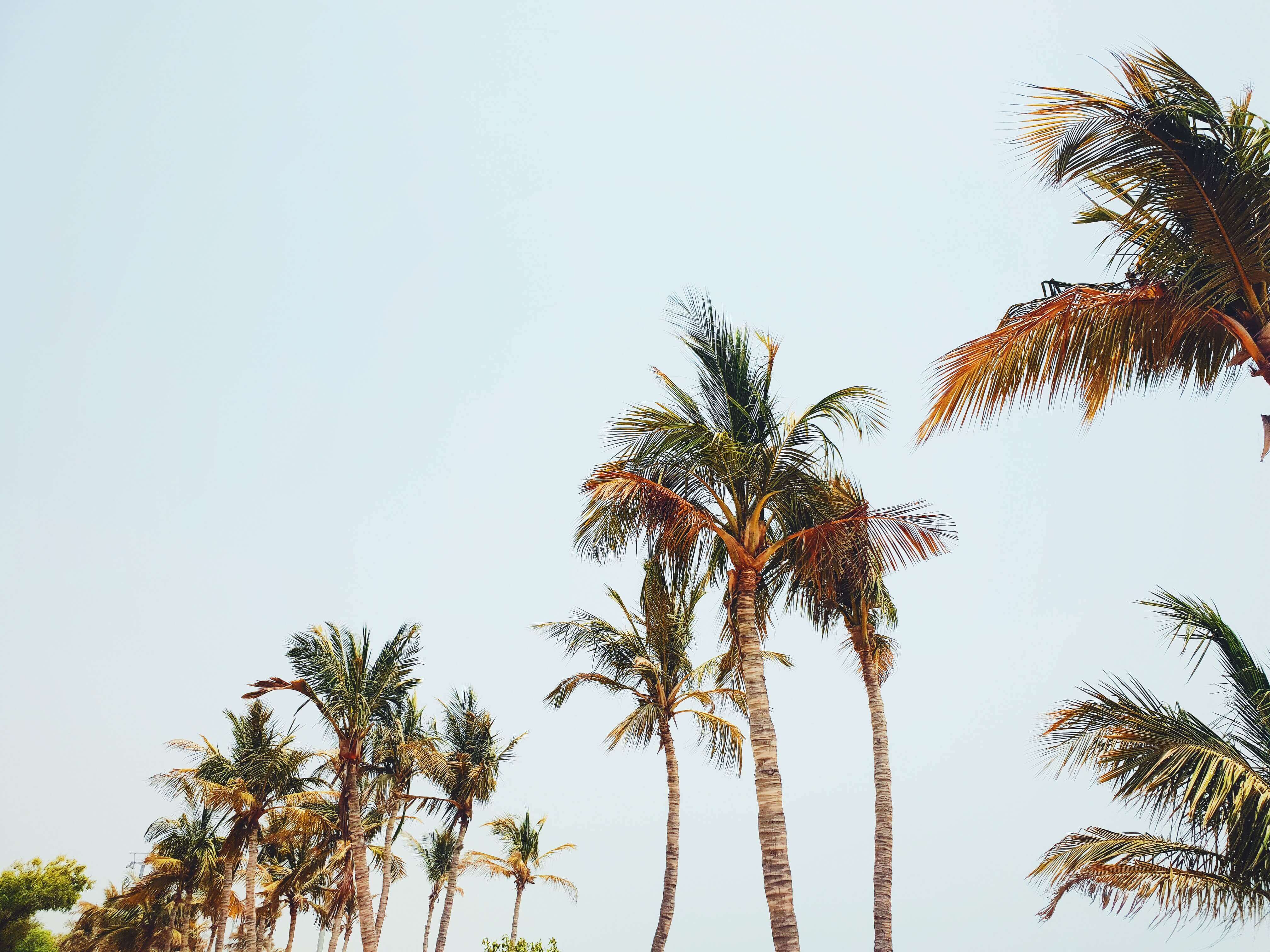 by AMU on Unsplash