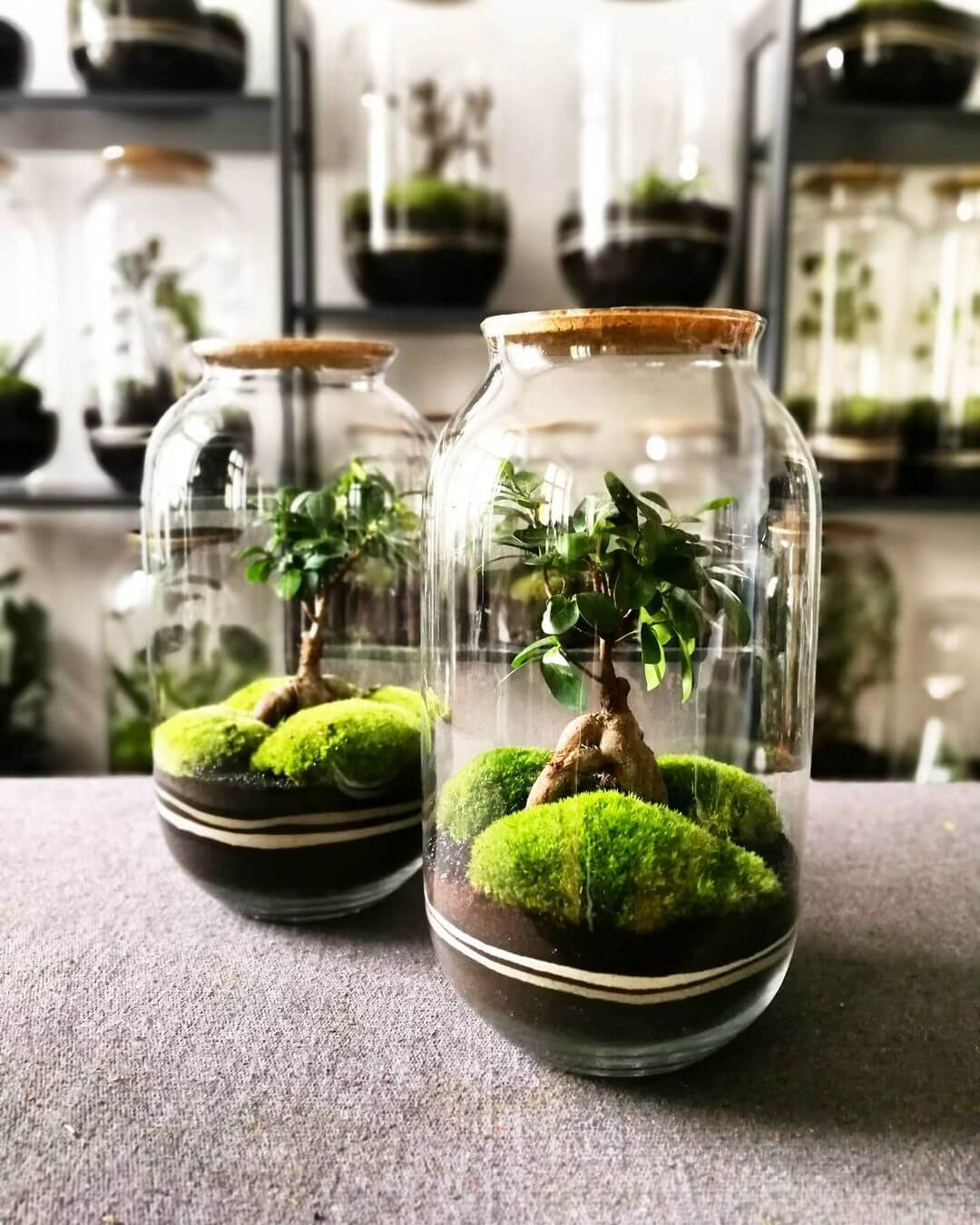 Flaschengarten von capsule gardens