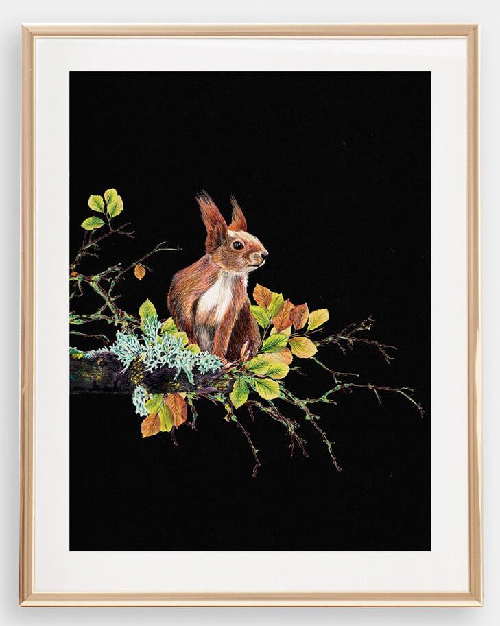 Eichhörnchen auf dem Ast - Kunstdruck von Janine Sommer