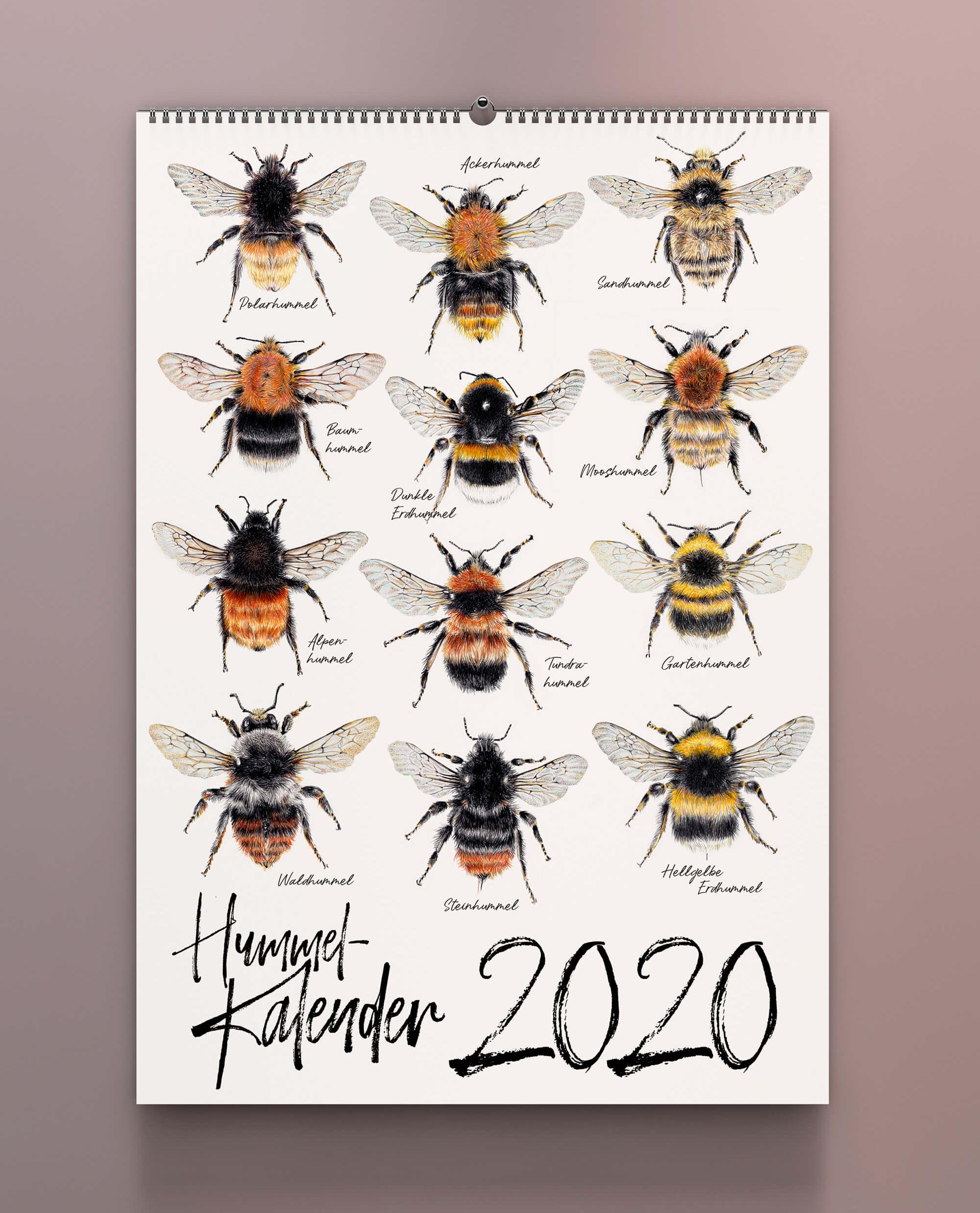 Hummelkalender 2020 Titelbild von Janine Sommer