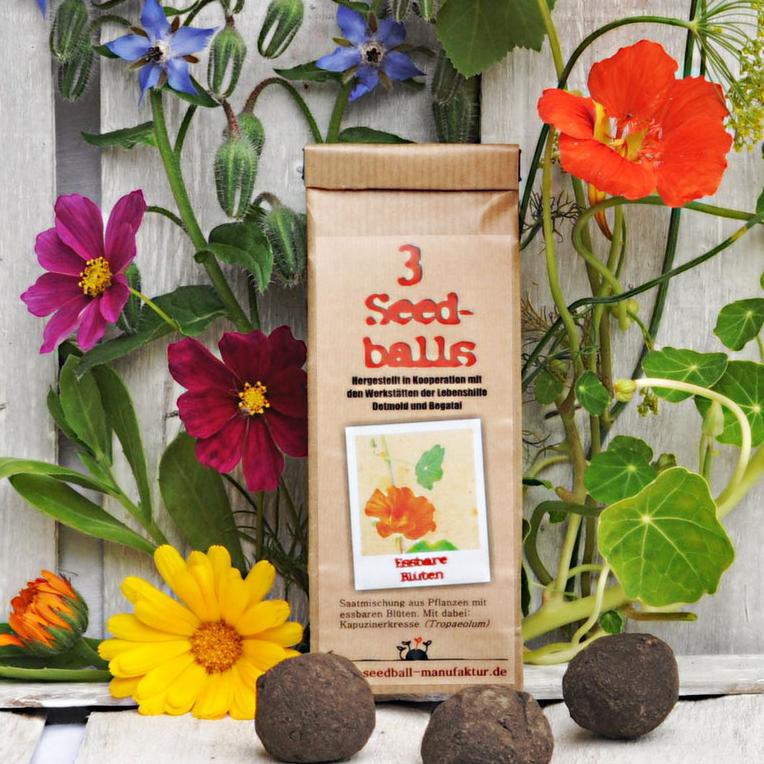Seedballs Kost-Bare Blüten von Seedball Manufaktur