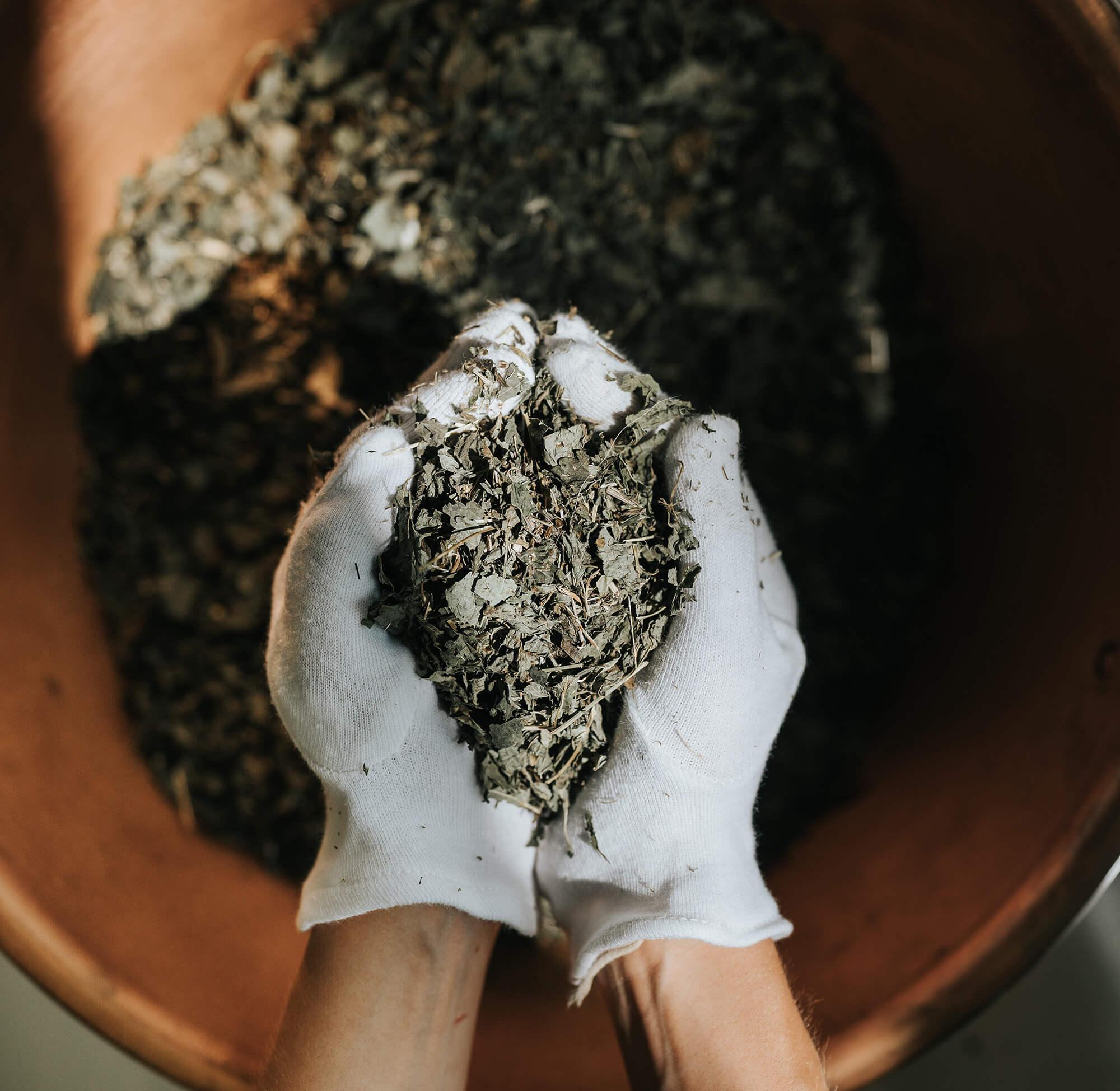 Produktion Wildkräuterauszüge Oxymels © kruut
