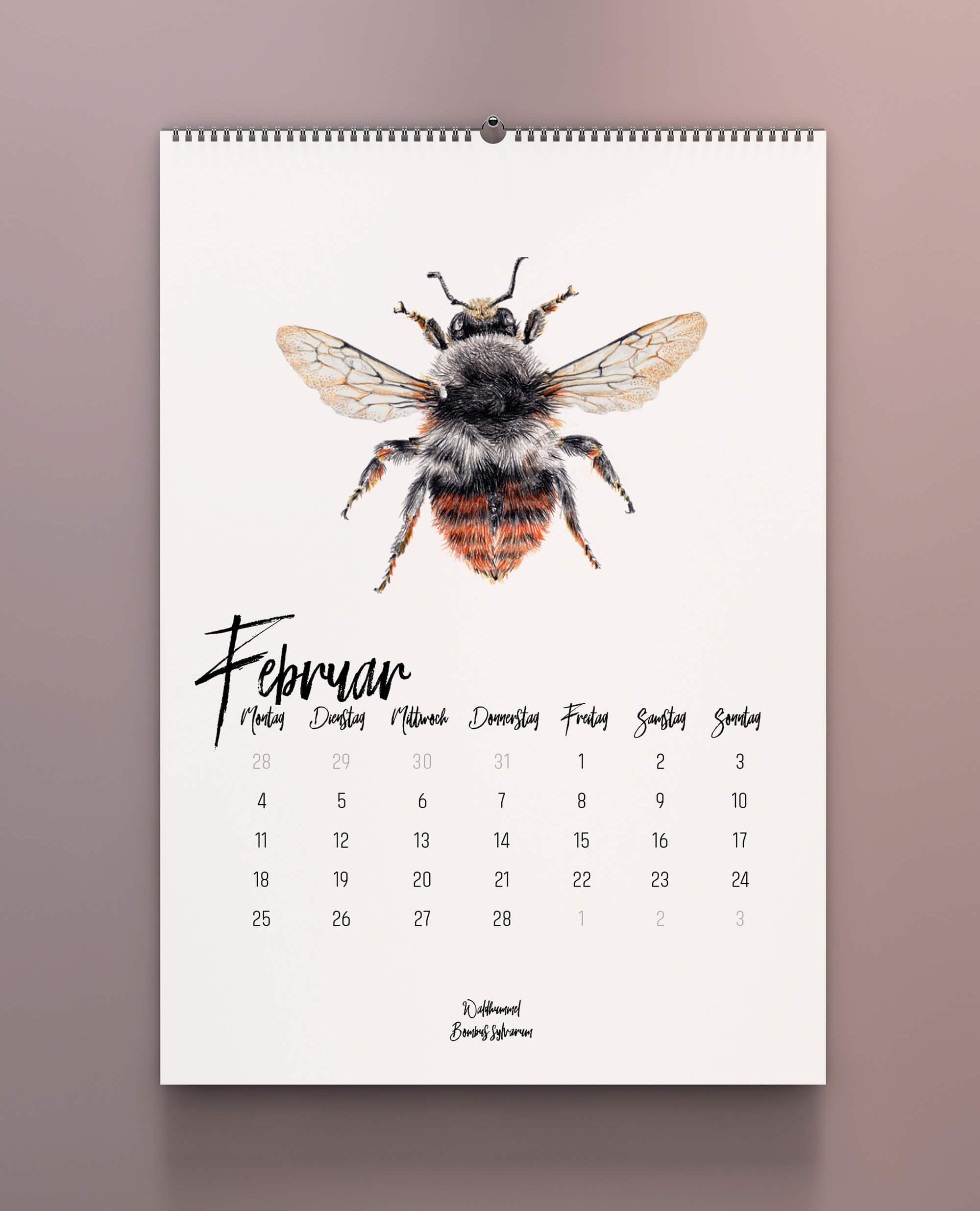 Hummelkalender 2020 von Janine Sommer