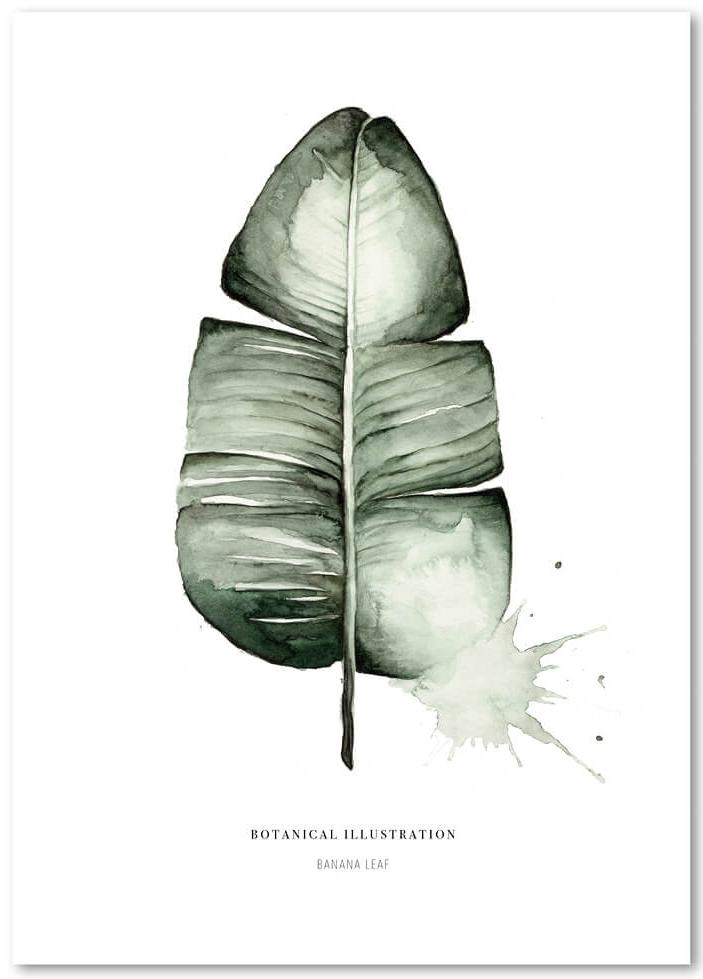 Banana Leaf von Leo la Douce