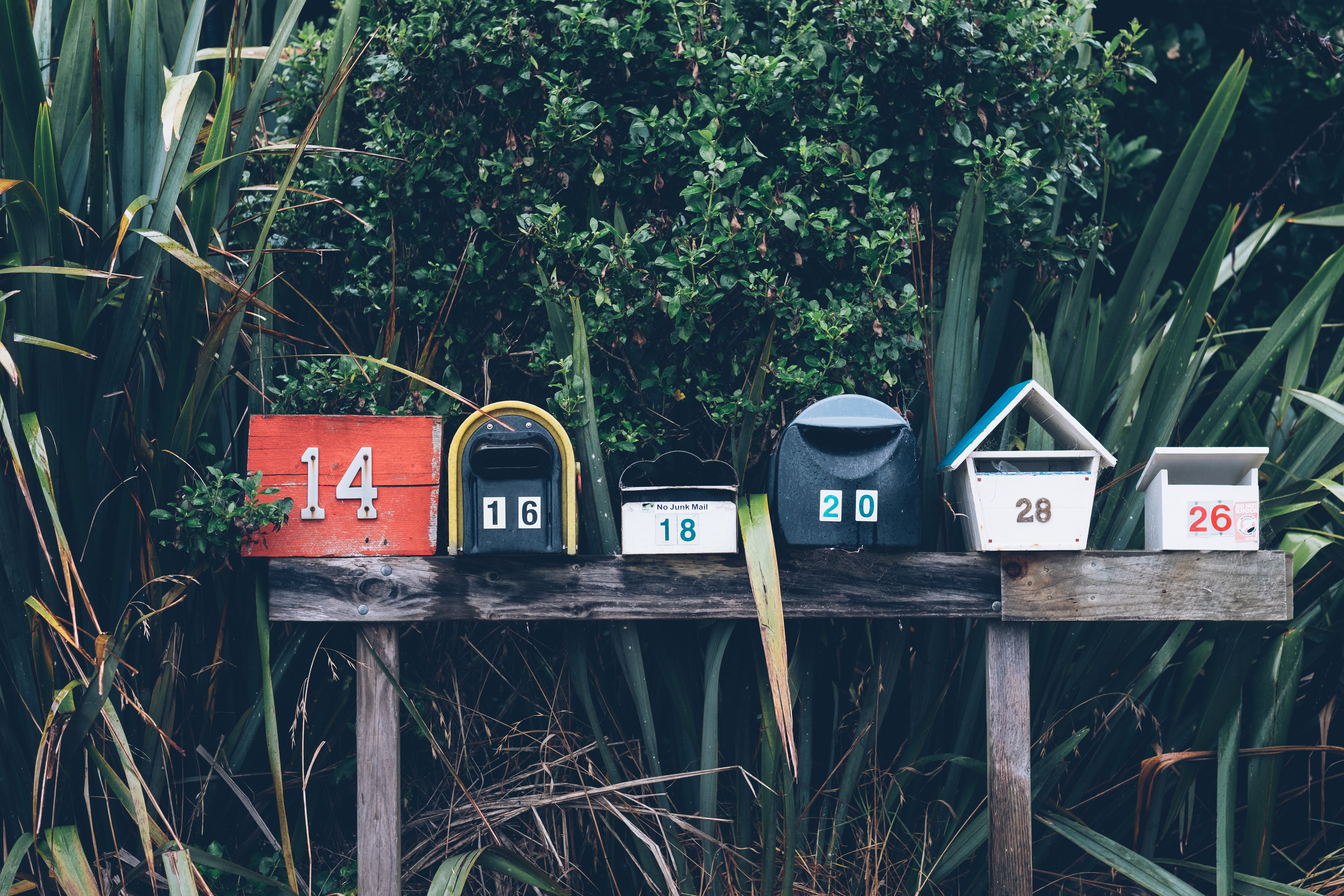 Photo by Mathyas Kurmann on Unsplash Photo by Mathyas Kurmann on Unsplash